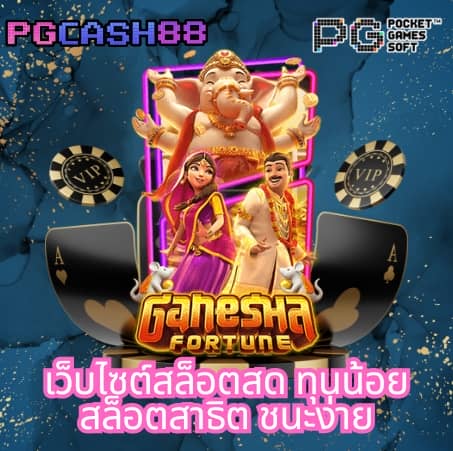 taipe668